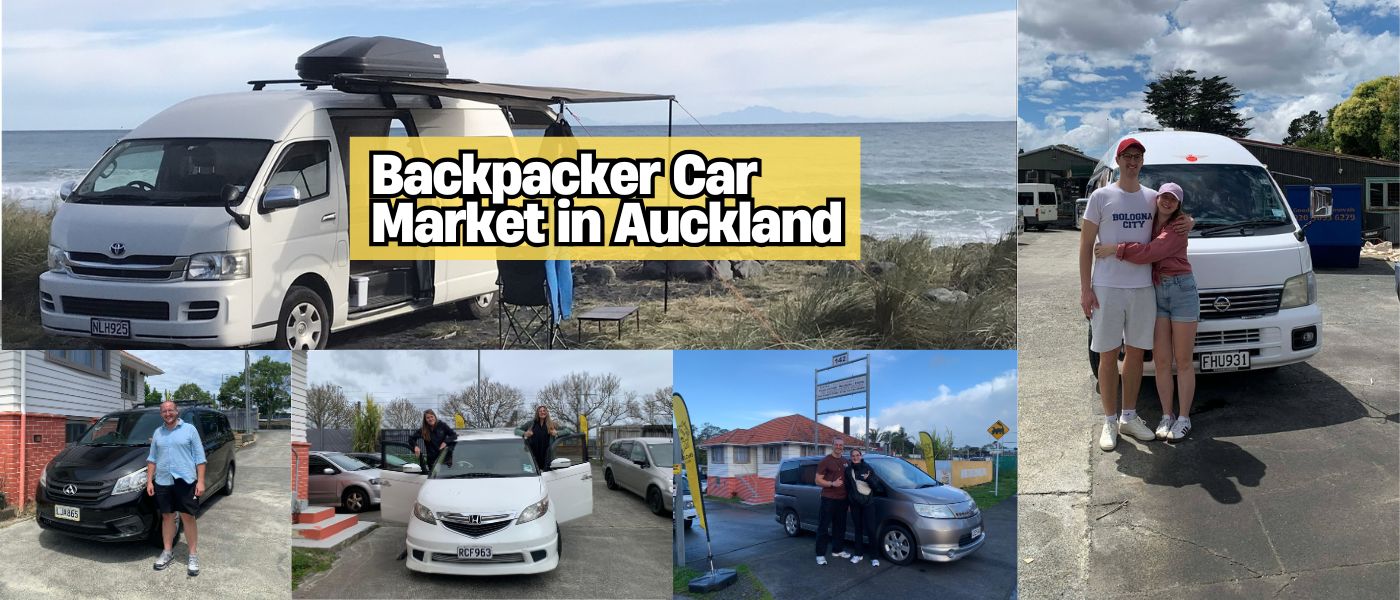 Auckland car market