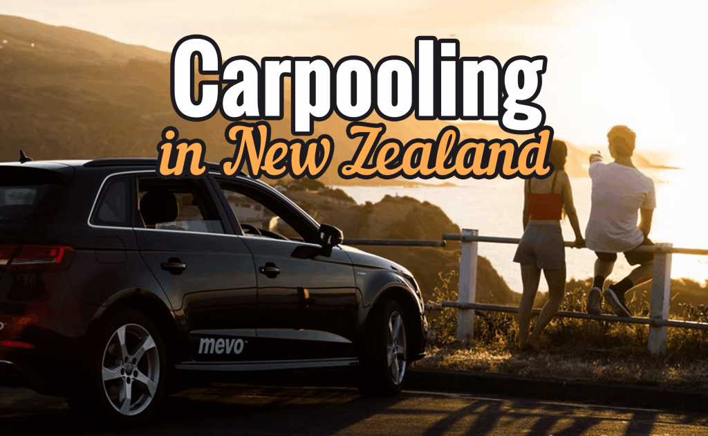 Carpooling in New Zealand