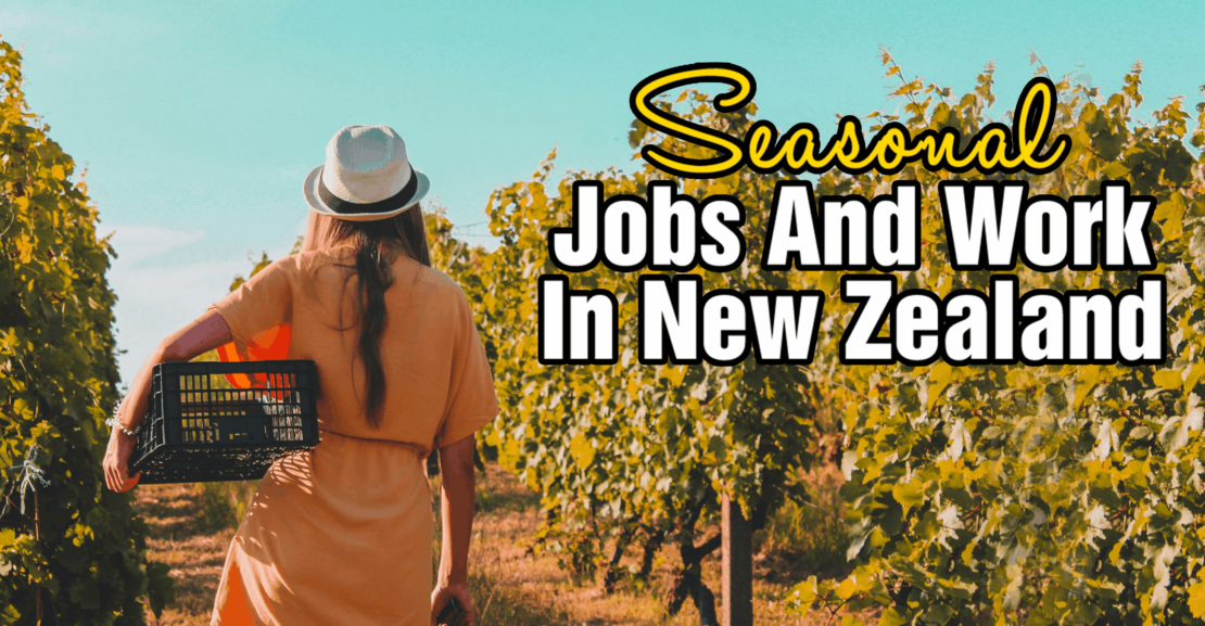 seasonal jobs new zealand
