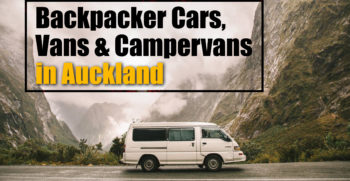 backpacker cars in auckland