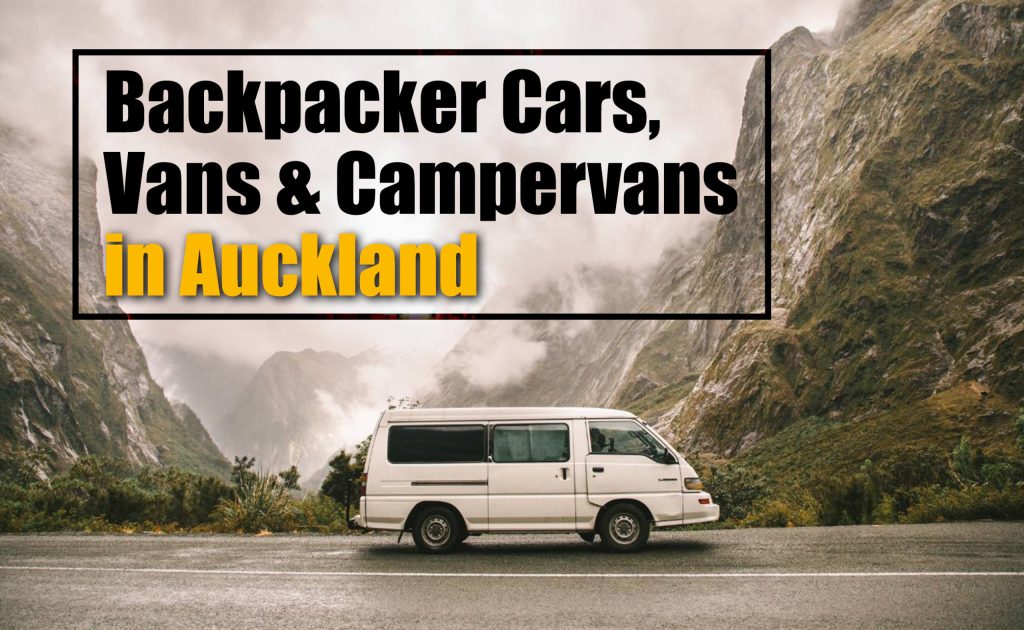 Backpacker cars and campervans in Auckland