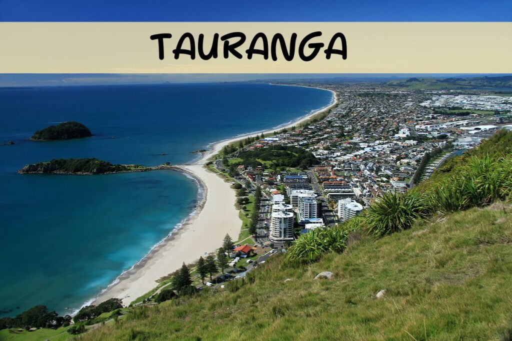 Cars for rent in Tauranga