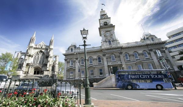 Dunedin City Highlights Tour