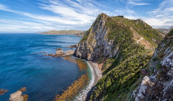 Catlins coastal drive