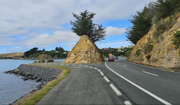 Otago peninsula loop