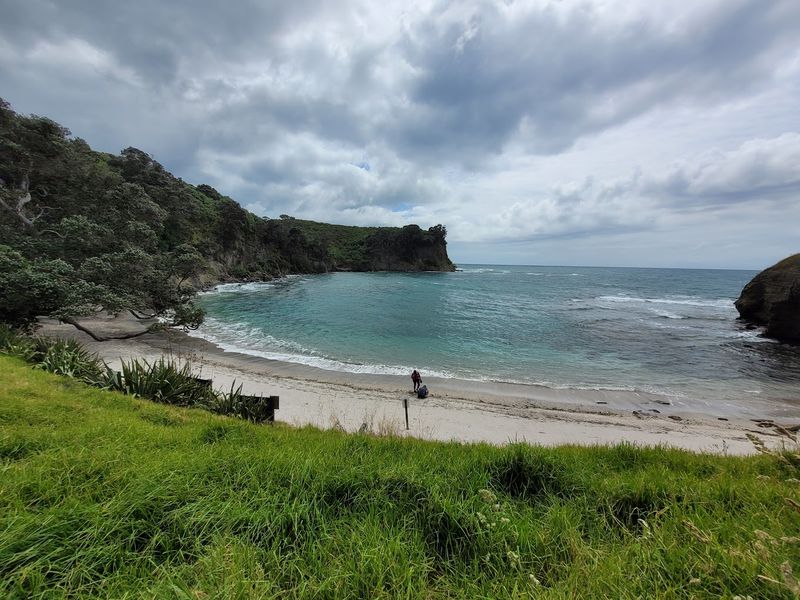 Motuora Island Campsite