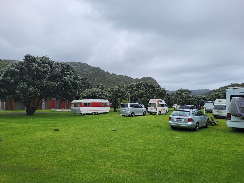 Piha Domain Campground