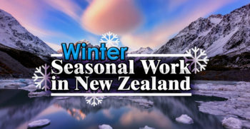 seasonal jobs in new zealand