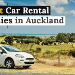 The Best Car Rental Companies in Auckland