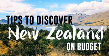 tips to travel in new zealand